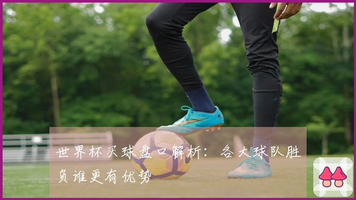 世界杯买球盘口解析：各大球队胜负谁更有优势