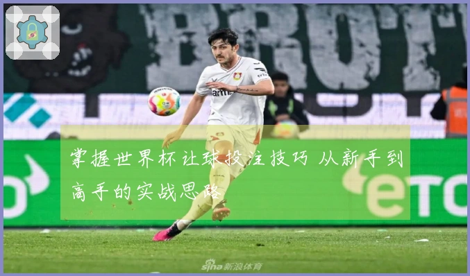 掌握世界杯让球投注技巧 从新手到高手的实战思路
