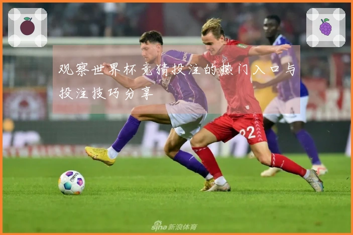 观察世界杯竞猜投注的热门入口与投注技巧分享