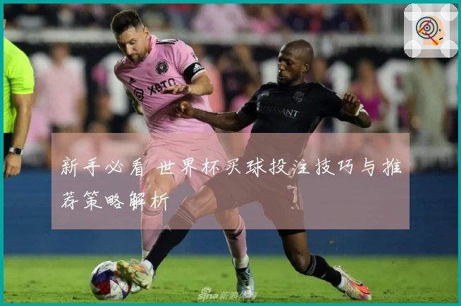 新手必看 世界杯买球投注技巧与推荐策略解析